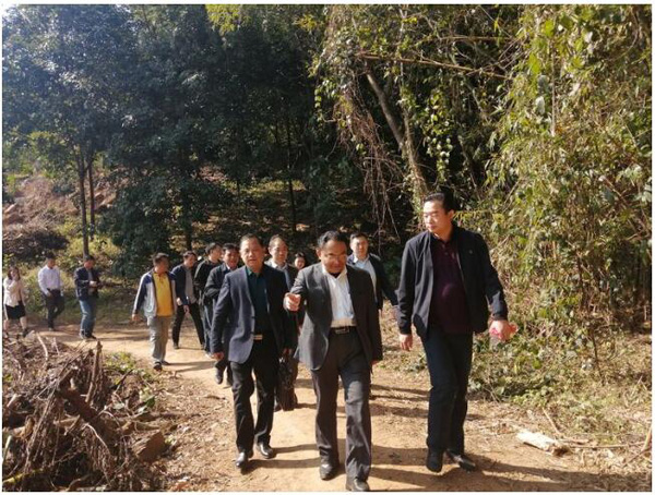 彩名堂(中国区)官方网站入口