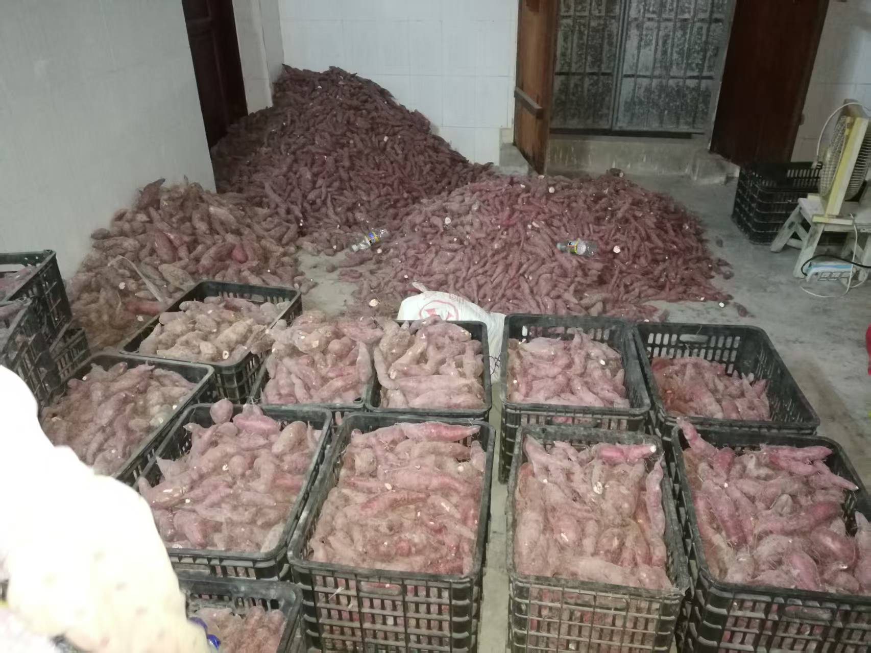彩名堂(中国区)官方网站入口